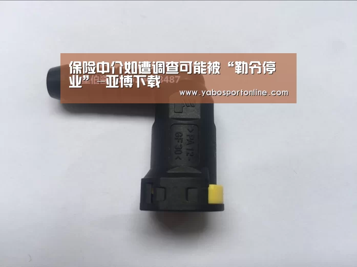 保险中介如遭调查可能被“勒令停业”-亚博下载(图2) 亚博官网