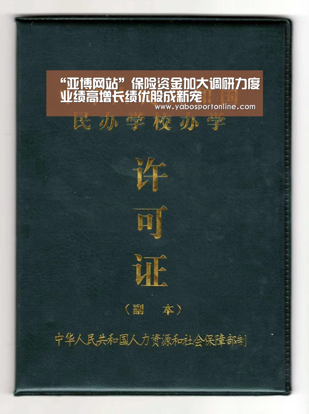 “亚博网站”保险资金加大调研力度 业绩高增长绩优股成新宠(图1) 亚博APP