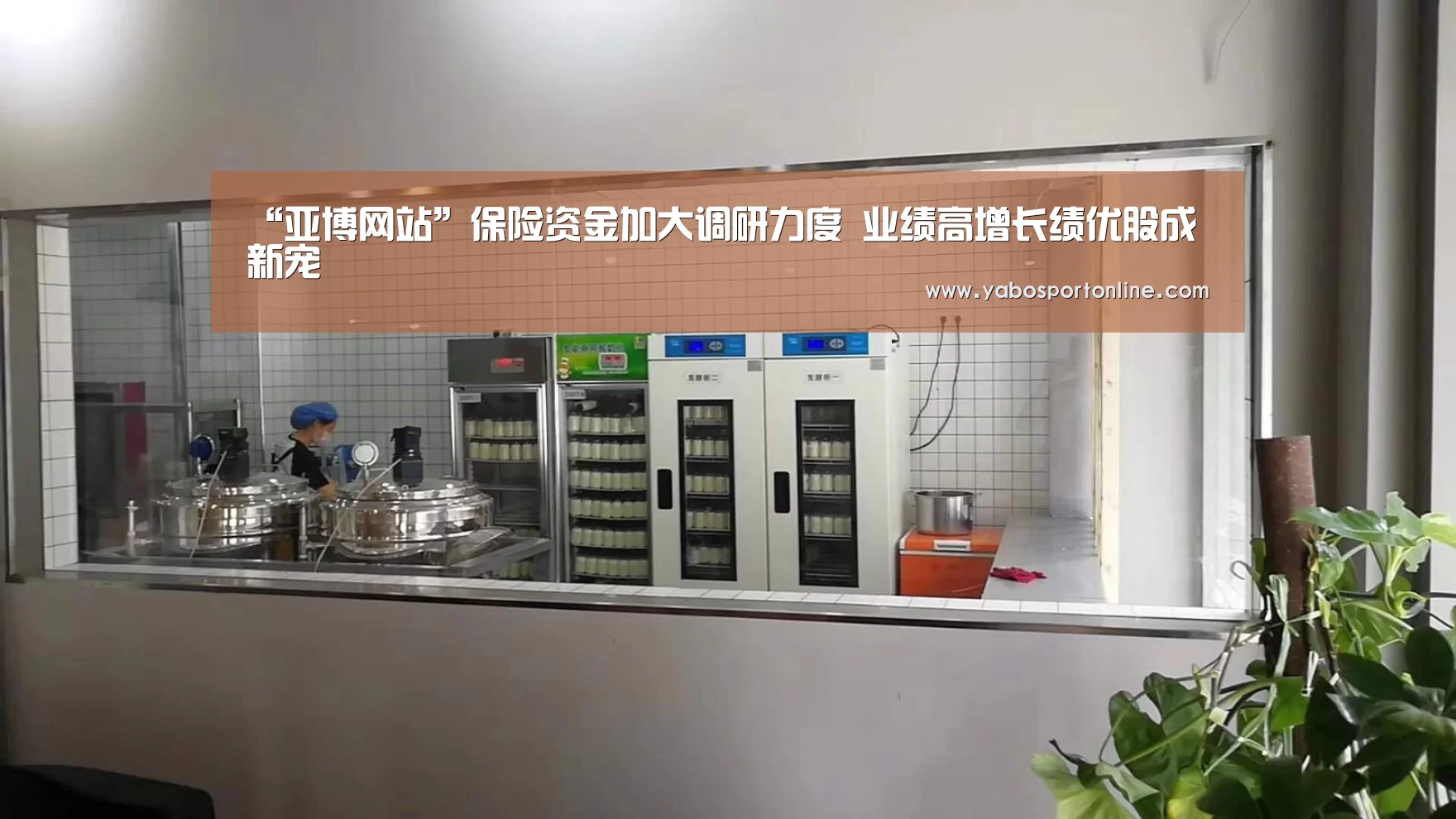 “亚博网站”保险资金加大调研力度 业绩高增长绩优股成新宠(图2) 亚博APP