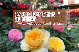 浅谈企业文化建设“亚博官网”(图4) 亚博网站