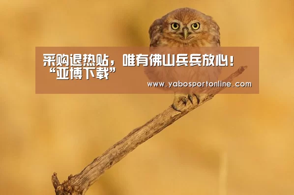 采购退热贴,唯有佛山兵兵放心!“亚博下载”(图1) 亚博下载