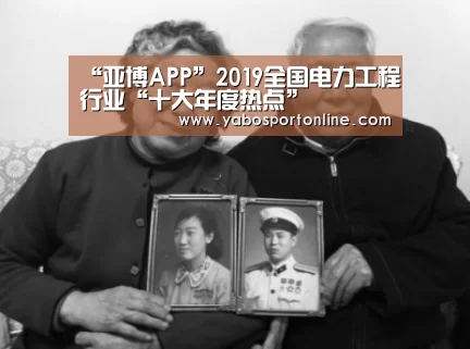 “亚博APP”2019全国电力工程行业“十大年度热点”(图2) 亚博官网