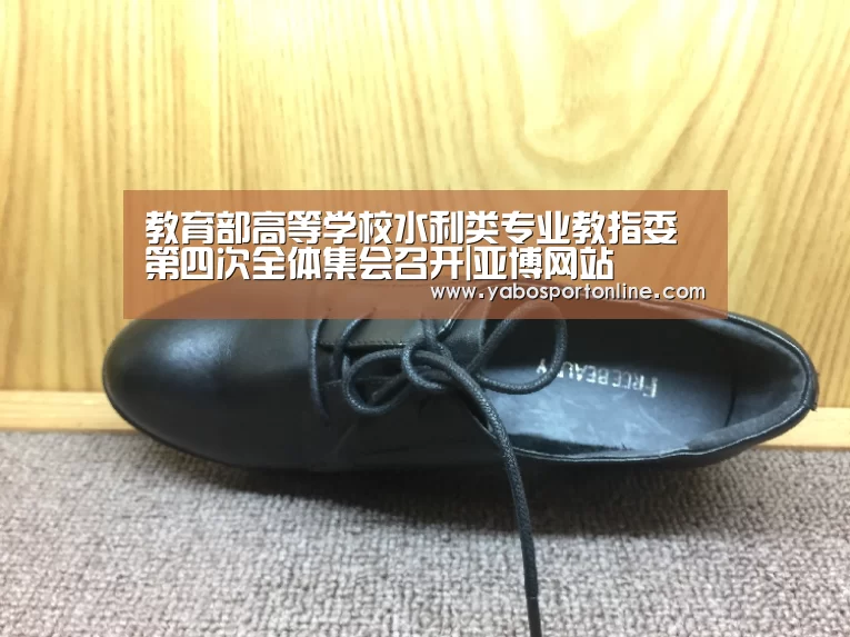教育部高等学校水利类专业教指委第四次全体集会召开|亚博网站(图1) 亚博官网